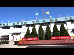 Les moules en caoutchouc de silicone fabriquent une solution écologique et personnalisable